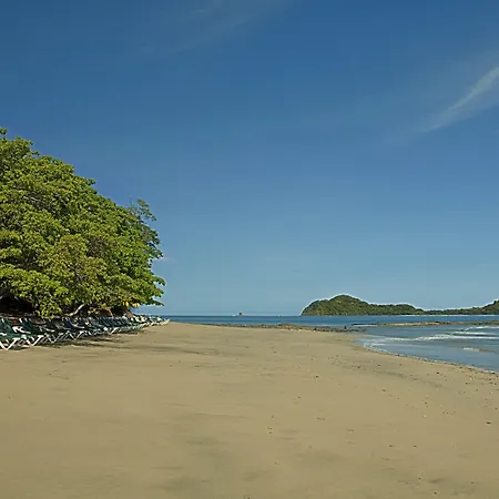 Occidental Papagayo (Adults Only)-2